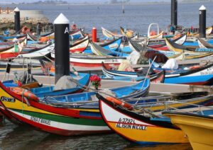 Les bonnes raisons de visiter le Portugal :  de nombreuses activités à faire